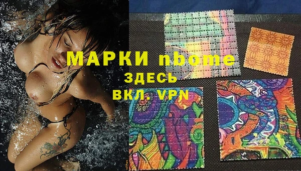 СК Алексин