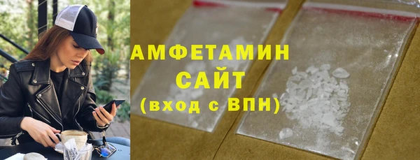 СК Алексин