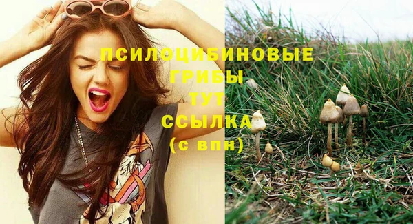 СК Алексин