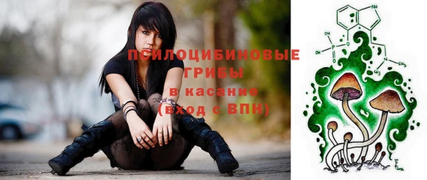 СК Алексин