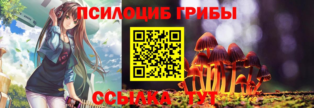 Псилоцибиновые грибы мицелий  Вход с VPN  цена   Гуково 