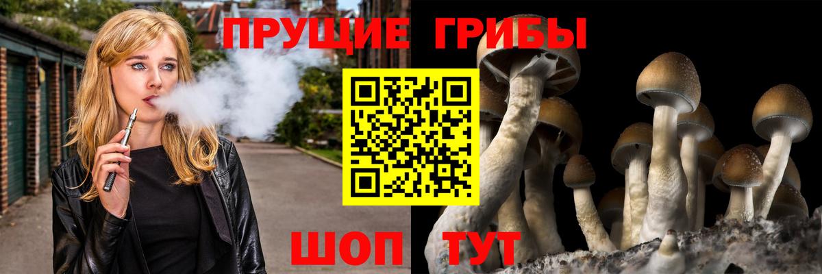 Галлюциногенные грибы Magic Shrooms Гуково